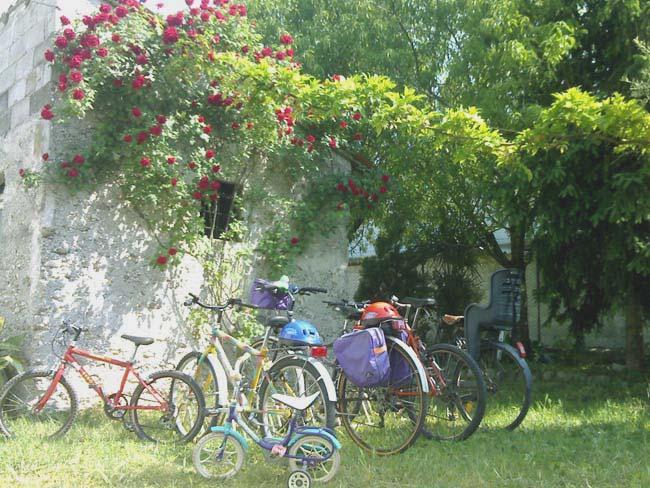 Corte Canale Virgilio Otel Volta Mantovana Dış mekan fotoğraf