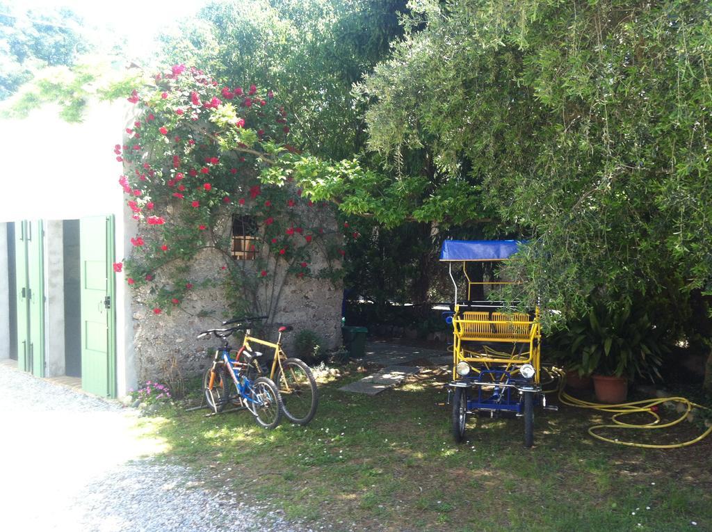 Corte Canale Virgilio Otel Volta Mantovana Dış mekan fotoğraf